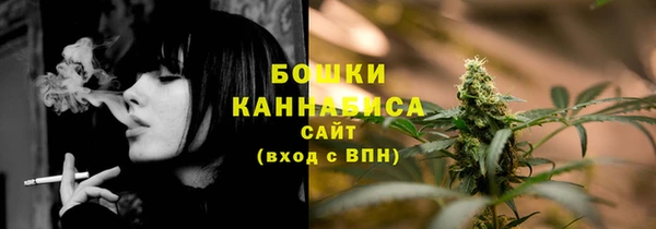 МДПВ Осинники