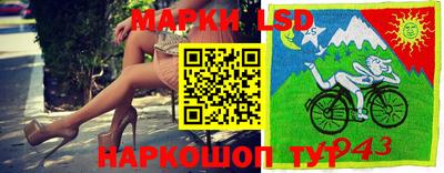 гидропоника Краснознаменск