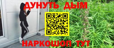 гидропоника Краснознаменск