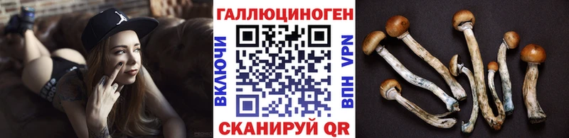 наркошоп  Сунжа  Псилоцибиновые грибы GOLDEN TEACHER 