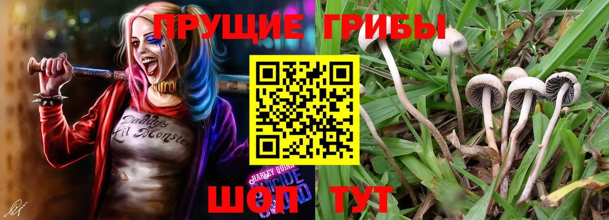 Галлюциногенные грибы ЛСД  Сунжа 