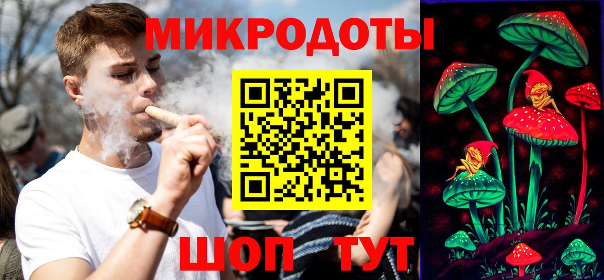 Псилоцибиновые грибы мицелий Сунжа