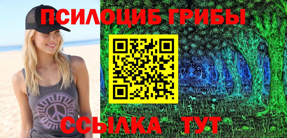 Сунжа  Галлюциногенные грибы мухоморы  Вход с VPN 